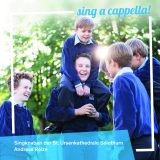Sing A Cappella -  Singknaben der St. Ursenkathedrale Solothurn