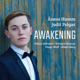 neas Humm Awakening