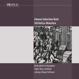 Johann Sebastian Bach:  Stil’Antico-Motetten
