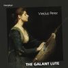 Vincius Perez  The Galant Lute