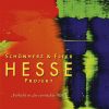Schönherz & Fleer:  Hesse Projekt